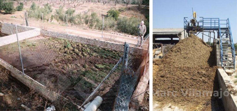 Foto 1. Fossas e dejetos&nbsp;s&atilde;o pontos cr&iacute;ticos no controle de moscas.
