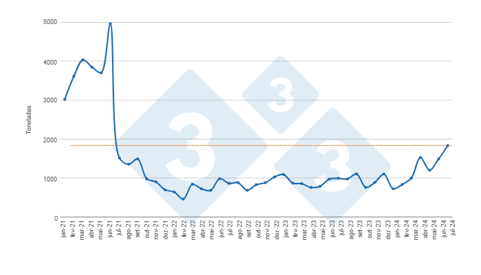 Gr&aacute;fico 1. Evolu&ccedil;&atilde;o das exporta&ccedil;&otilde;es mensais de carne su&iacute;na no per&iacute;odo de janeiro de 2021 a julho de 2024. Elaborado pelo Departamento de Economia e Intelig&ecirc;ncia de Mercado da 333 Am&eacute;rica Latina com dados da Secretaria de Agricultura, Pecu&aacute;ria e Pesca do Minist&eacute;rio da Economia da Argentina.
