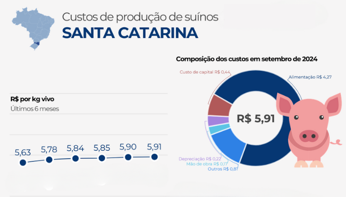 Custo de produção de suínos sobe em setembro nos principais estados