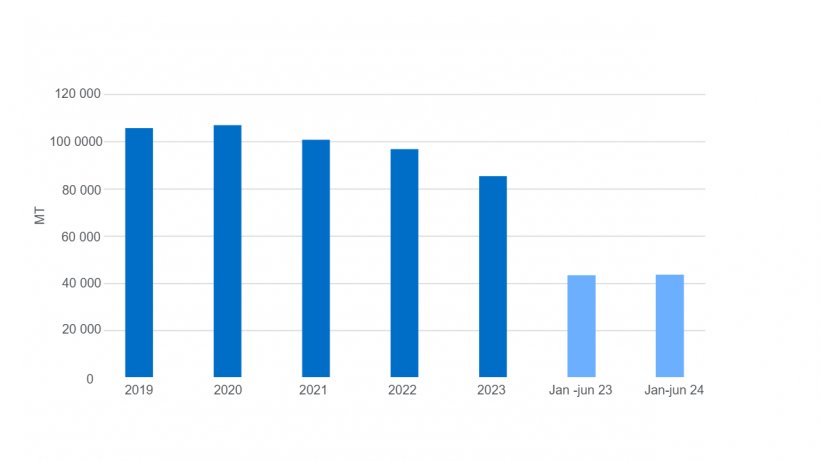 Gr&aacute;fico 1.&nbsp;Produ&ccedil;&atilde;o de carne su&iacute;na na Rep&uacute;blica Dominicana.
