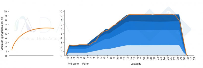 Figura 1. Padr&atilde;o te&oacute;rico ideal de ingest&atilde;o da porca em lacta&ccedil;&atilde;o e resultados na pr&aacute;tica.
