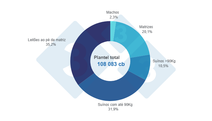 Gr&aacute;fico 1: Distribui&ccedil;&atilde;o do plantel&nbsp;su&iacute;no no Uruguai por categoria - junho de 2024, Elaborado pelo Departamento de Economia e Sustentabilidade da 333 Am&eacute;rica Latina com dados do Anu&aacute;rio OPYPA 2024
