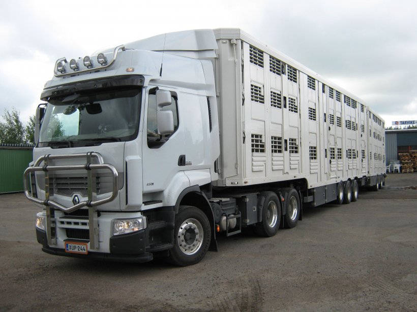 aniaml transport asf