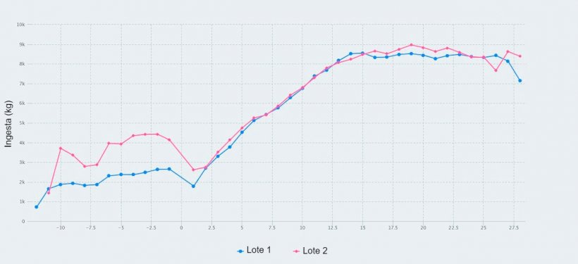 Figura 1. Consumo de ra&ccedil;&atilde;o do dia 107 da gesta&ccedil;&atilde;o at&eacute; o desmame (dia 28 da lacta&ccedil;&atilde;o) de porcas alimentadas com no m&aacute;ximo 2,8 kg/dia (lote 1) e 4,2 kg/dia (lote 2) de ra&ccedil;&atilde;o durante os dias anteriores ao parto.
