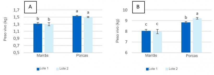 Figura 2. Peso ao nascer dos leit&otilde;es (A) e ao desmame (dia 28 da lacta&ccedil;&atilde;o) (B) de marr&atilde;s e porcas alimentadas com no m&aacute;ximo 2,80 kg/dia (lote 1) e 4,20 kg/dia (lote 2) de ra&ccedil;&atilde;o durante os dias anteriores ao parto.
