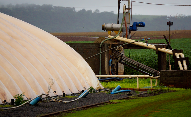 Biodigestores - Fonte: Divulga&ccedil;&atilde;o/CIBiog&aacute;s
