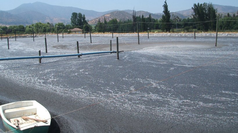 Figura 1: Lagoa anaer&oacute;bia de efluentes: um foco de emiss&atilde;o de gases com efeito de estufa e de amon&iacute;aco.
