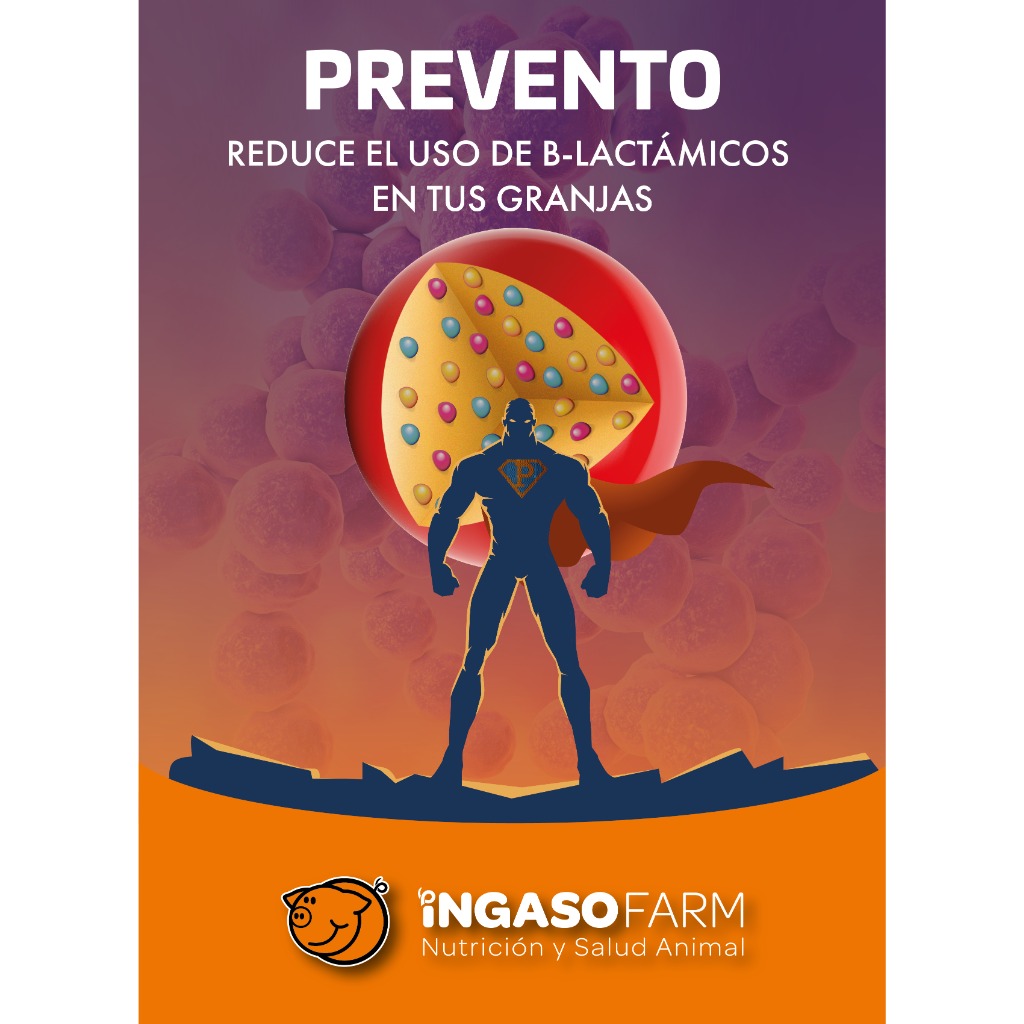 PREVENTO