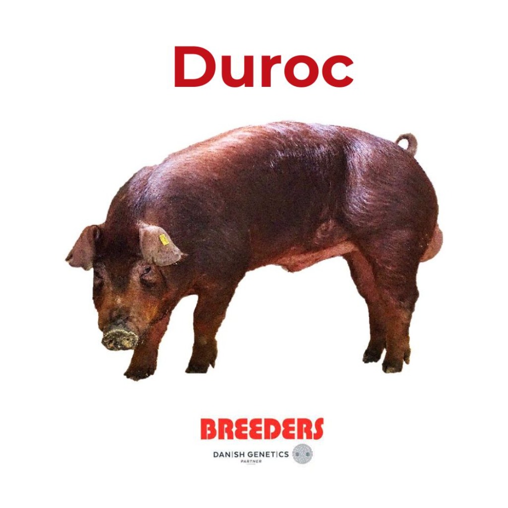 DUROC