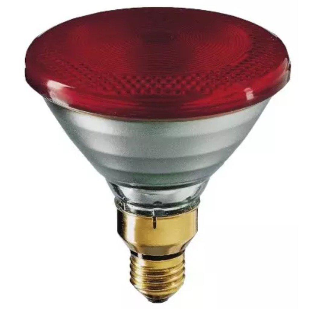 Bombilla infraffoja Philips PAR 175 Watts 1 ud