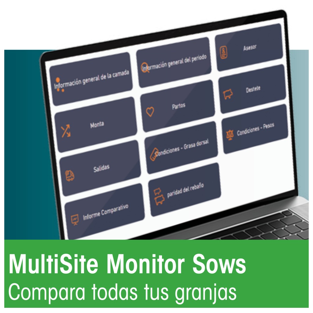 Agrovision MultiSite Monitor Sows