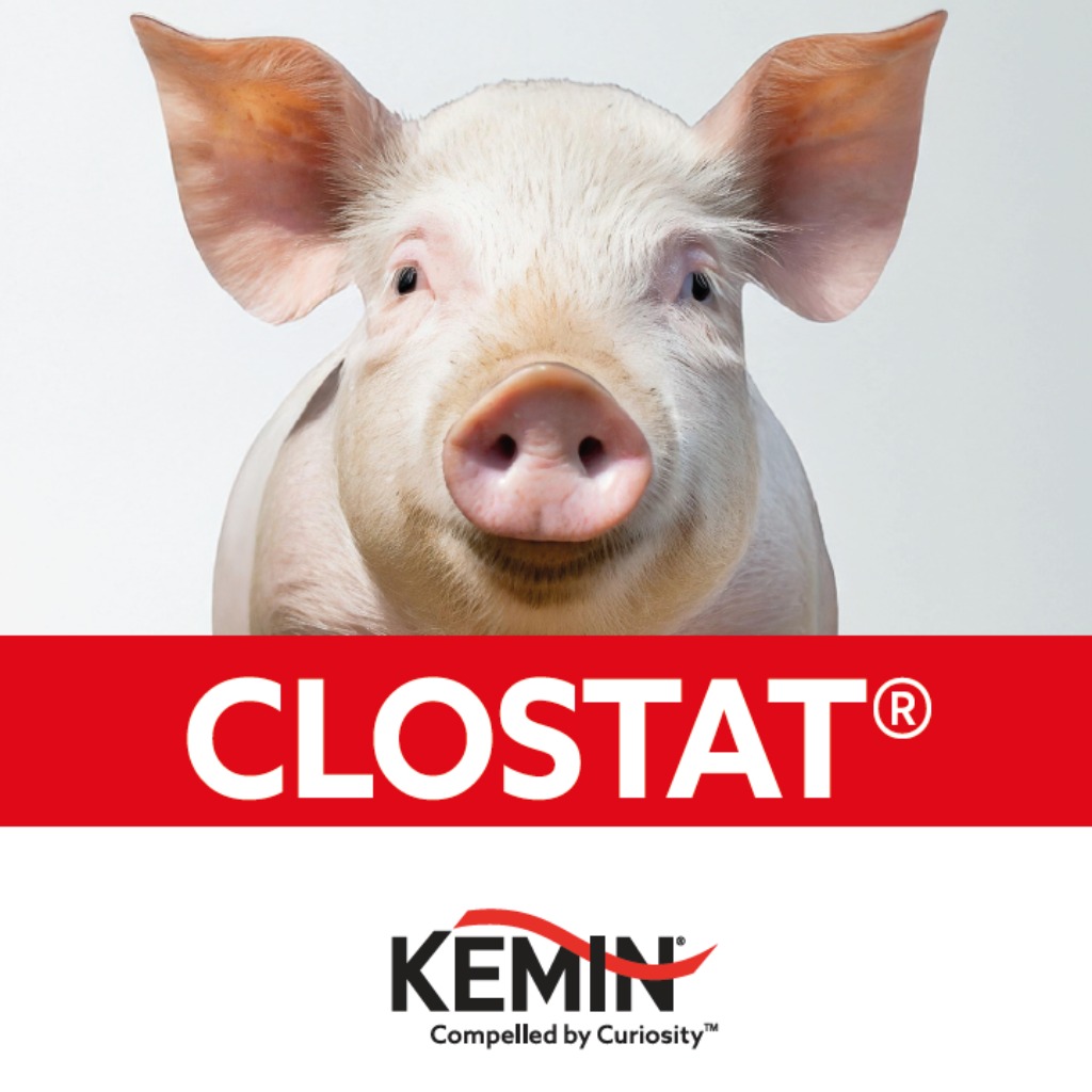 CLOSTAT®